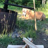 Review photo of Superior National Forest Iron Lake Campground by Jennifer H., June 23, 2020