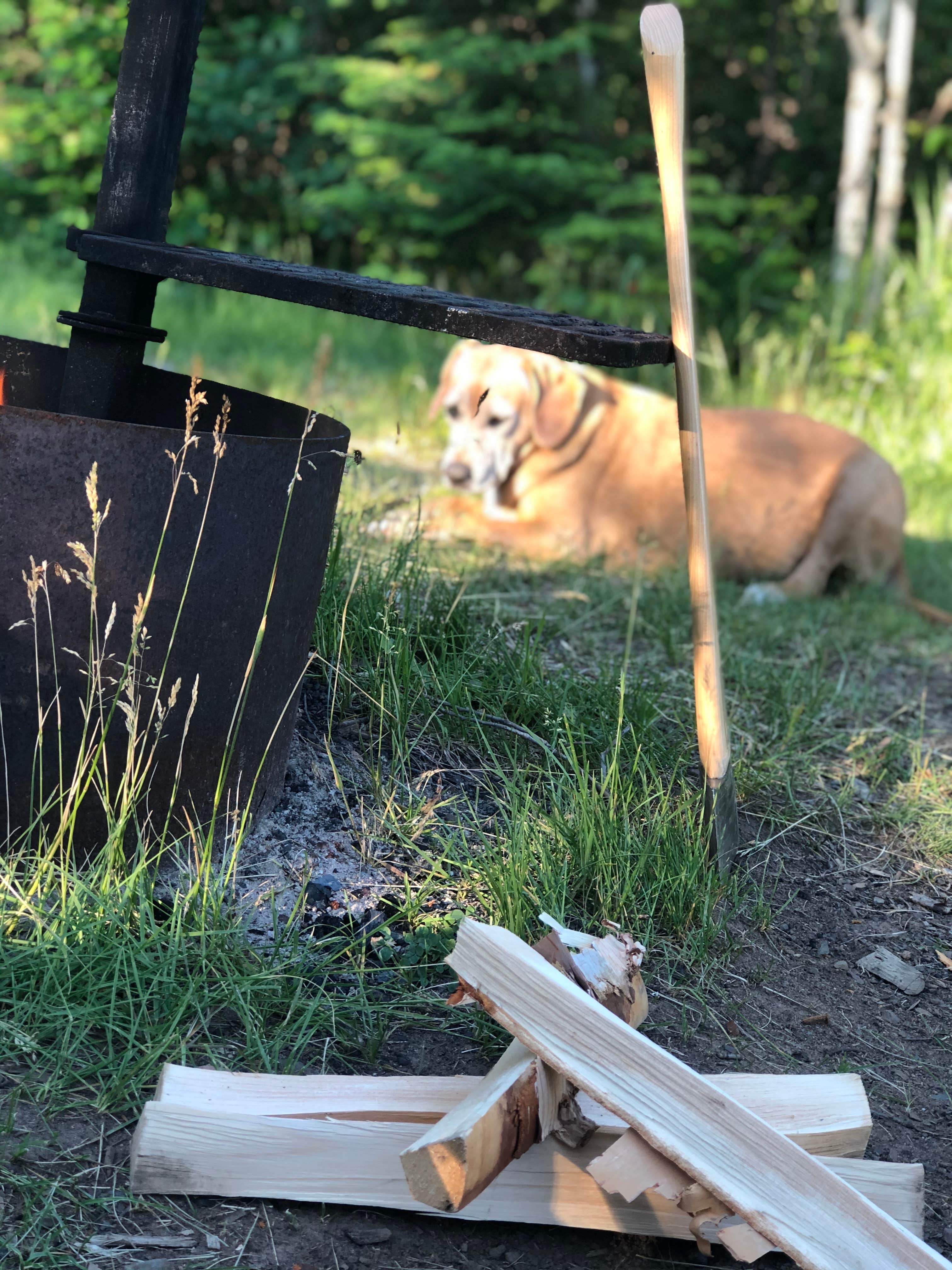 Camper submitted image from Superior National Forest Iron Lake Campground - 3