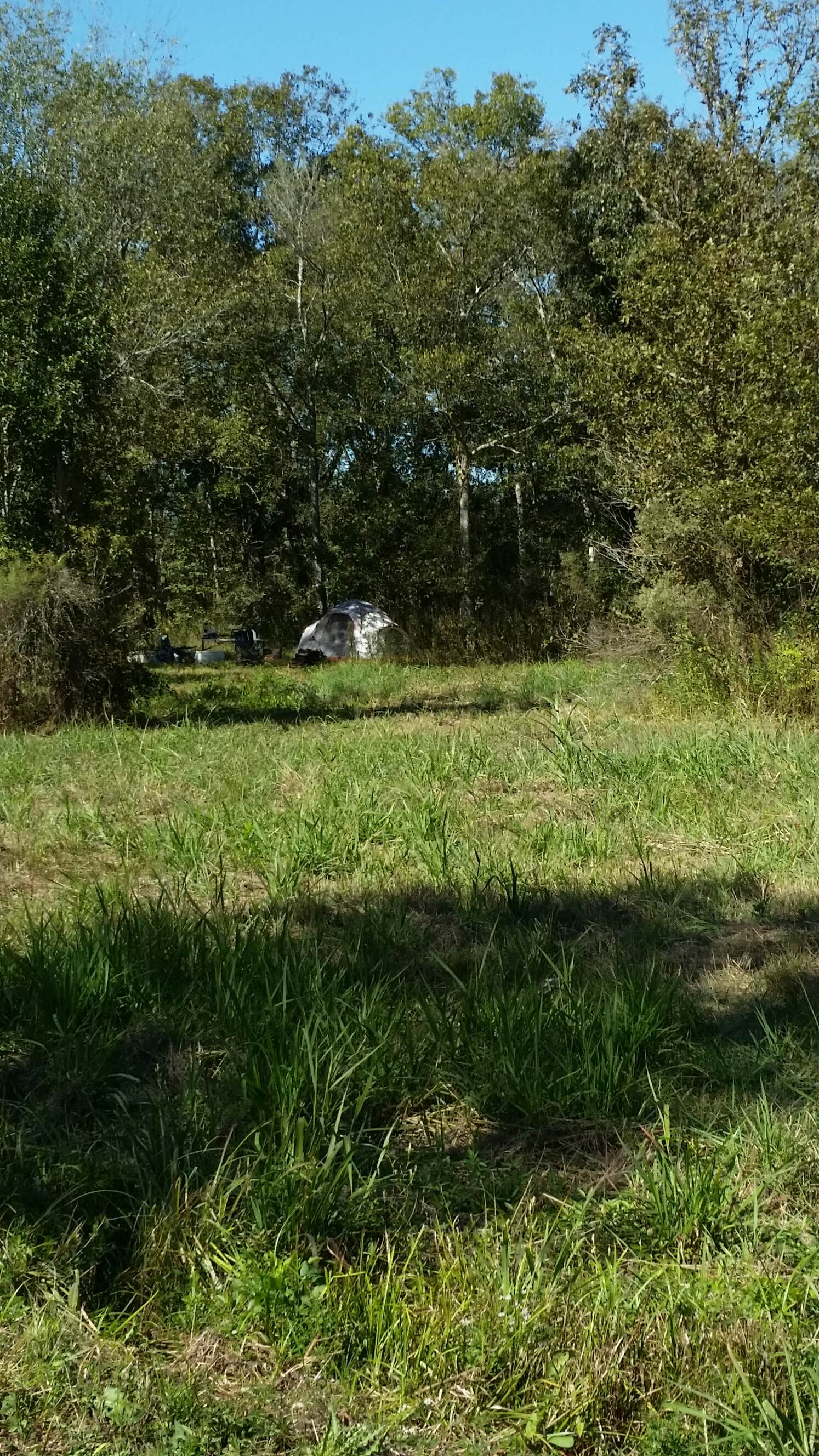 Camper-submitted photo at Richard K Yancy Yakey Rd Campground near Sicily Island, LA