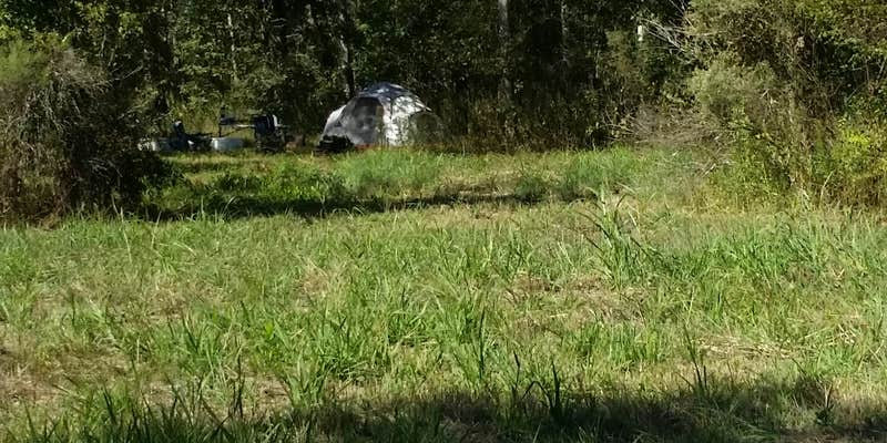 Camper submitted image from Richard K Yancy Yakey Rd Campground