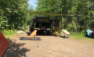 Jennifer H.'s photo of camping with pets at Superior National Forest Iron Lake Campground near Lutsen, MN