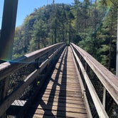 Review photo of Tallulah Gorge State Park Campground by Elizabeth G., June 23, 2020