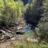 Review photo of Tallulah Gorge State Park Campground by Elizabeth G., June 23, 2020