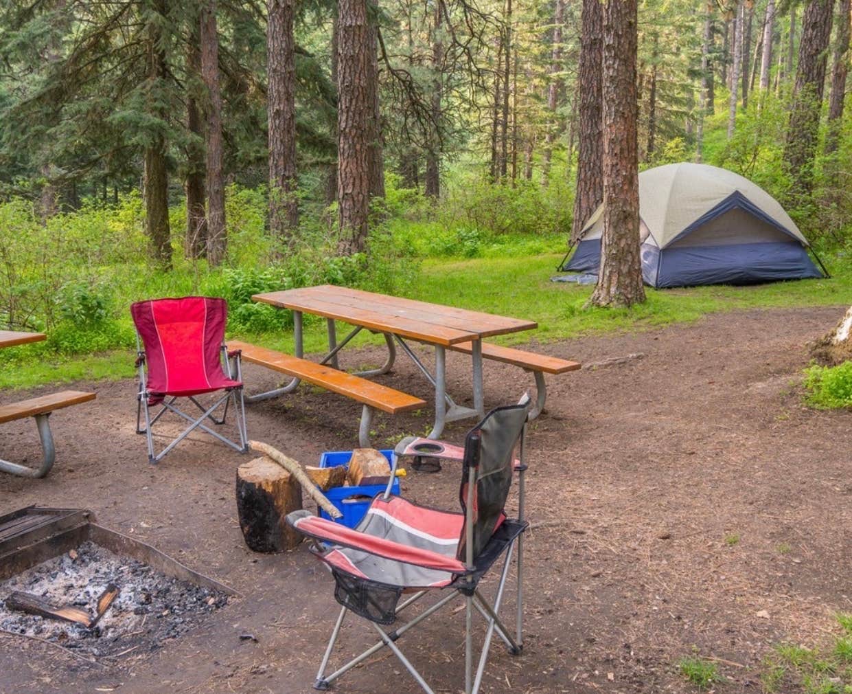 Camper submitted image from Kamiak Butte County Park - 3
