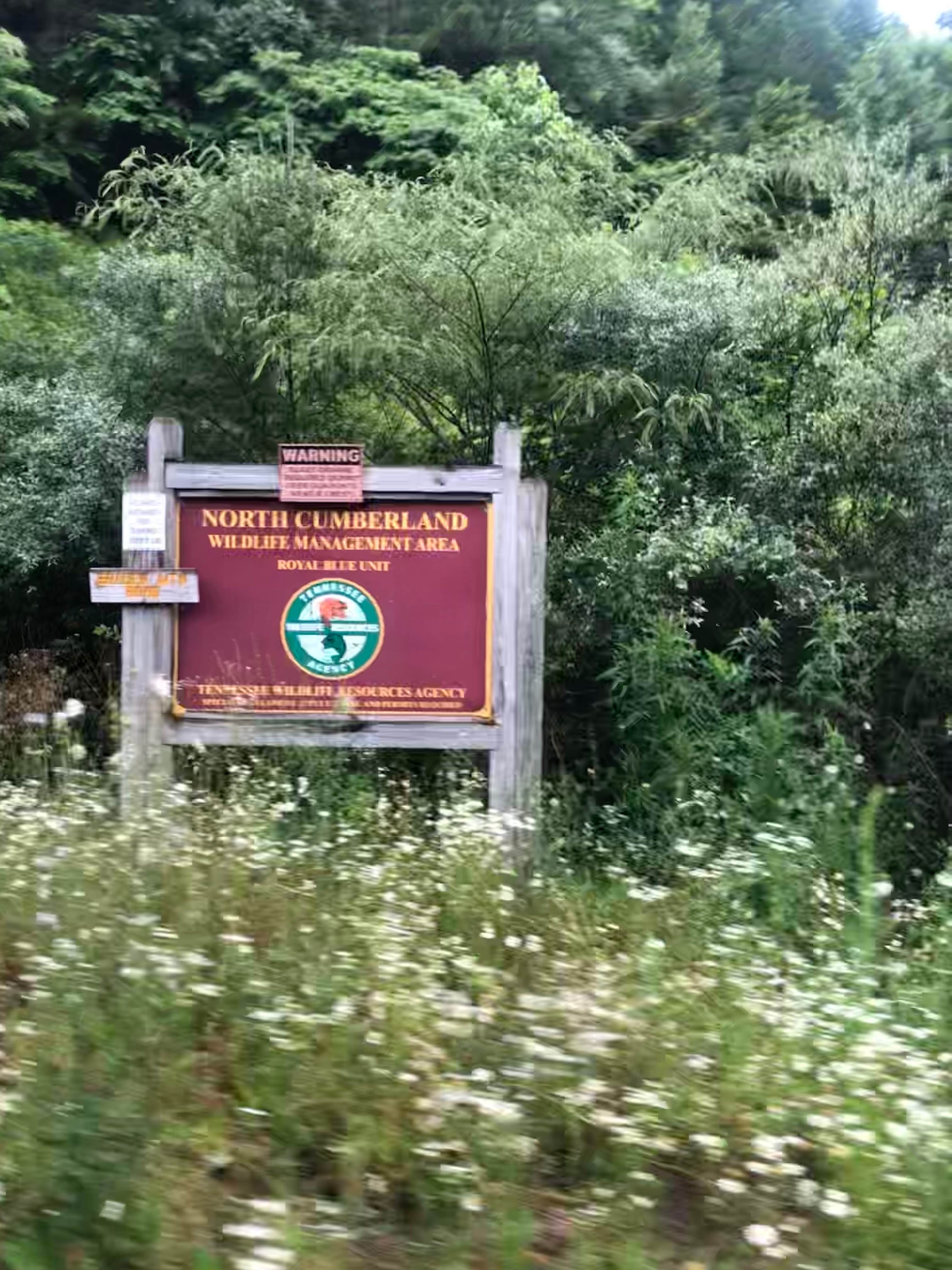 Camper submitted image from North Cumberland WMA- Royal Blue Unit - 2
