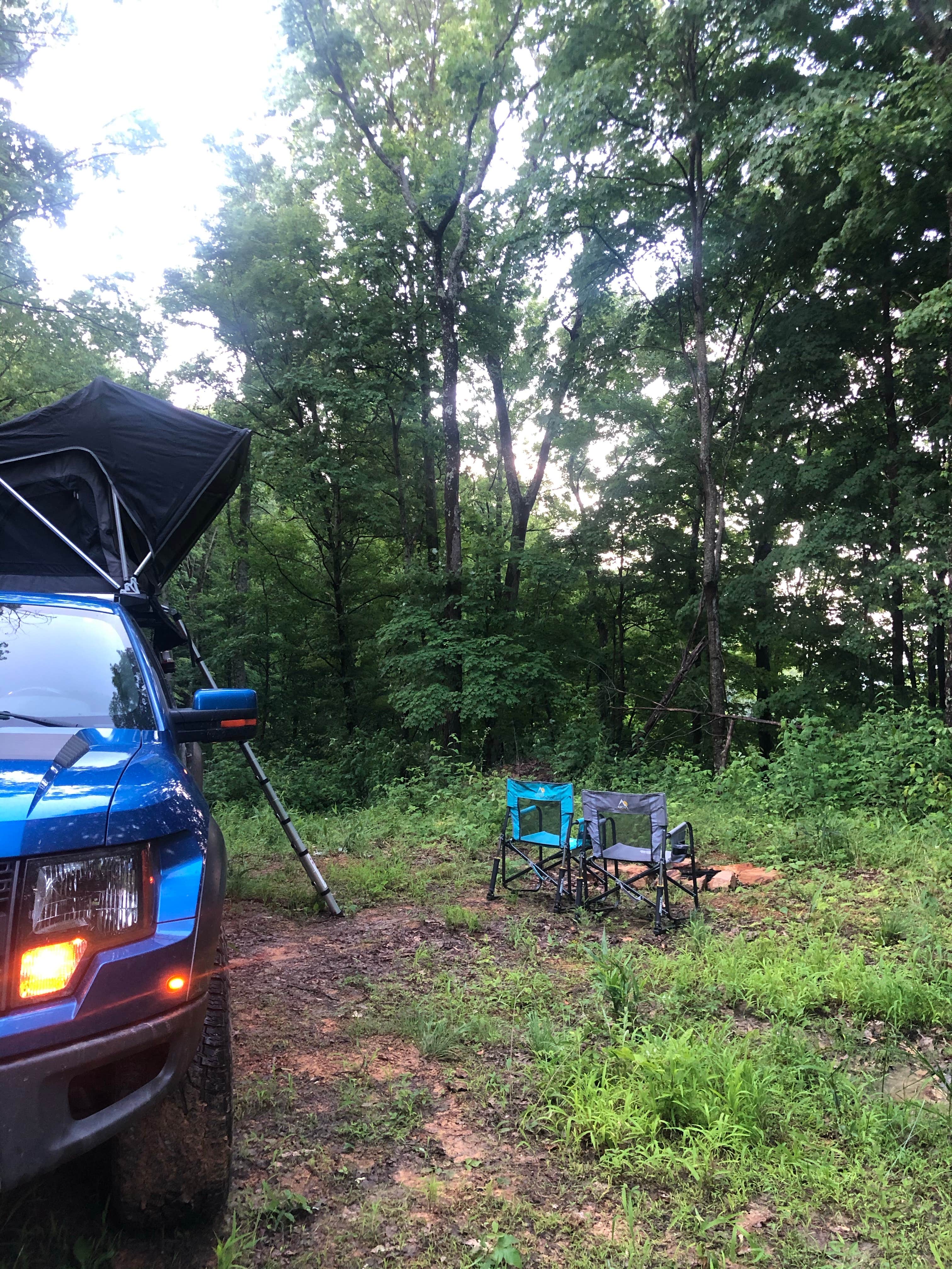 Lori H.'s photo of rv camping at North Cumberland WMA- Royal Blue Unit near La Follette, TN