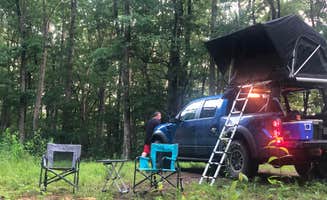 Lori H.'s photo at North Cumberland WMA- Royal Blue Unit near Robbins, TN