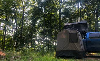Lori H.'s photo of tent camping at North Cumberland WMA- Royal Blue Unit near Allardt, TN