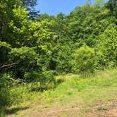 Review photo of North Cumberland WMA- Royal Blue Unit by Lori H., June 23, 2020