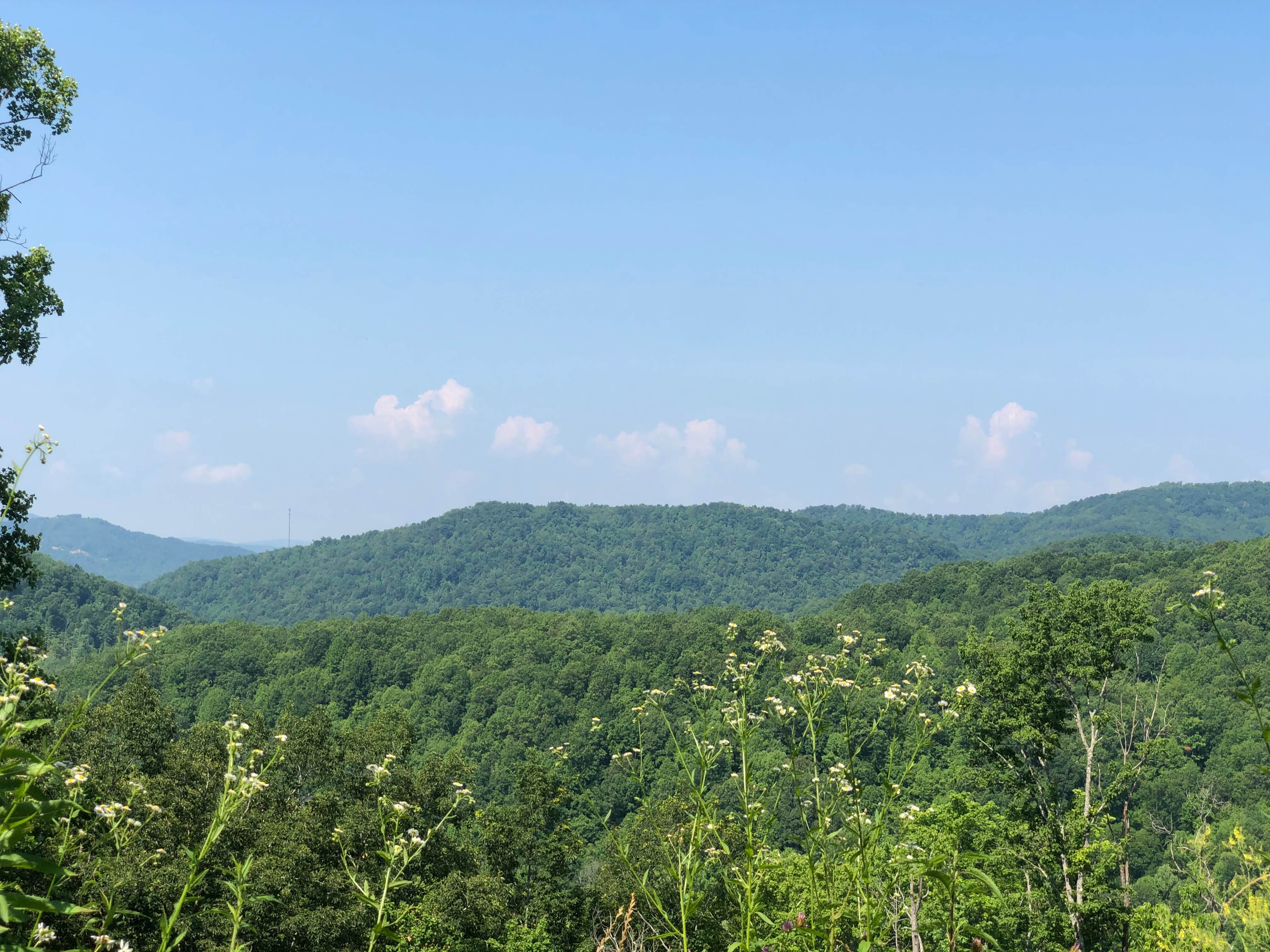 Camper-submitted photo at North Cumberland WMA- Royal Blue Unit near Clinton, TN