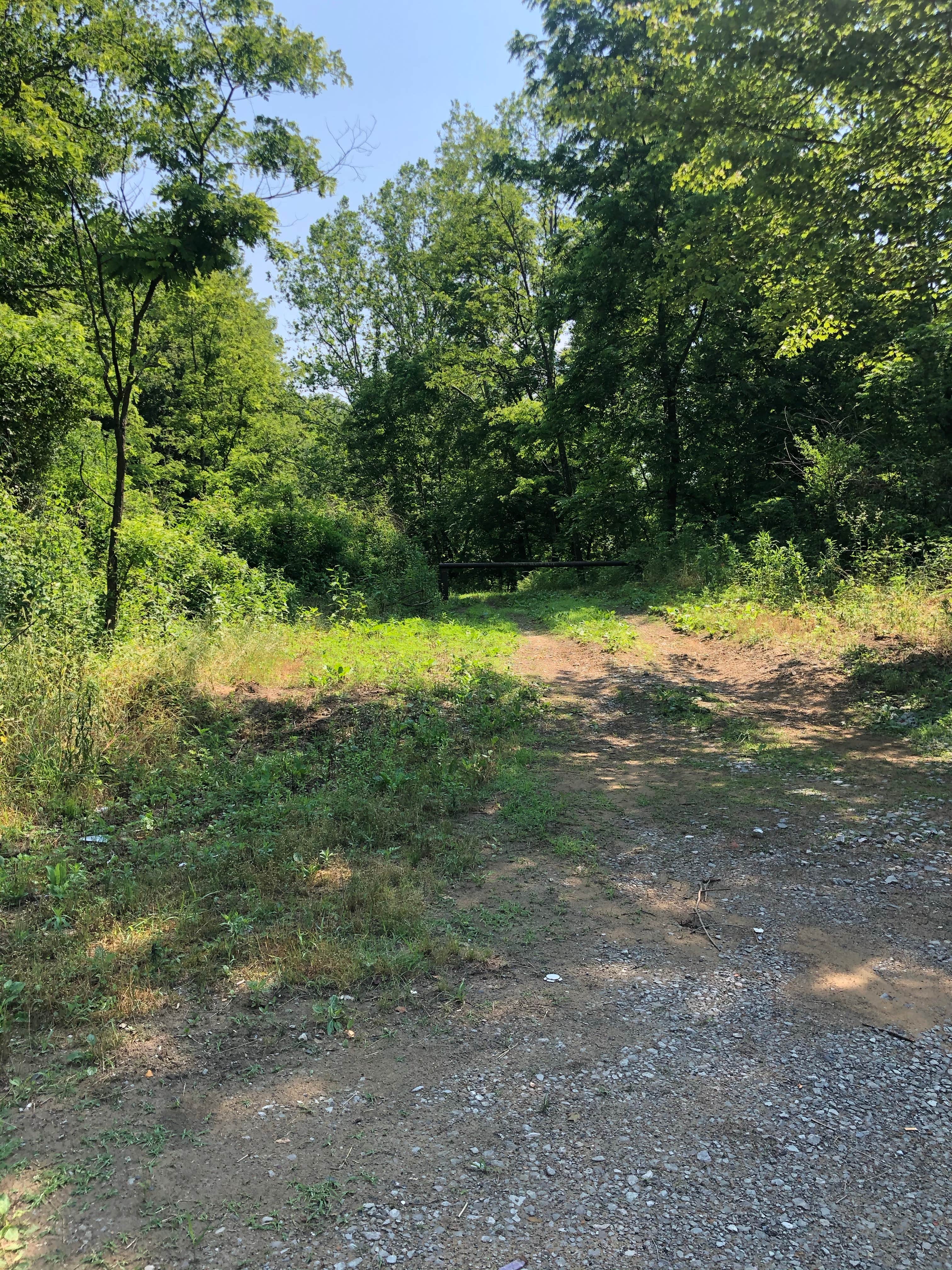 Camper-submitted photo at North Cumberland WMA- Royal Blue Unit near Clinton, TN