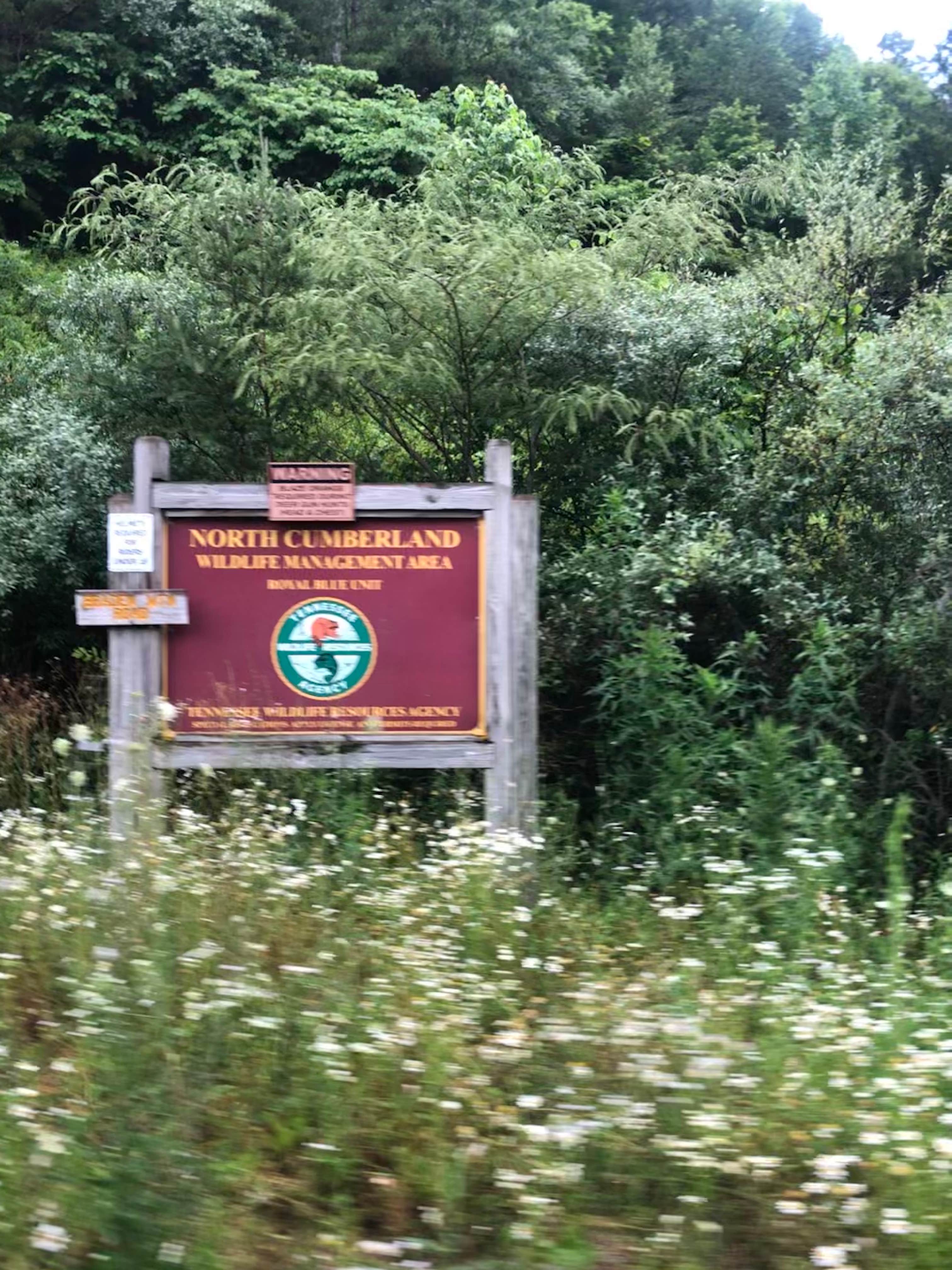 Camper-submitted photo at North Cumberland WMA- Royal Blue Unit near Clinton, TN