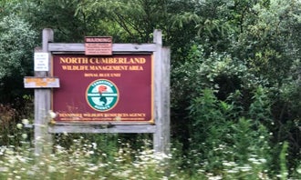 Camping near Burnt Mill Bridge Loop: North Cumberland WMA- Royal Blue Unit , Pioneer, Tennessee