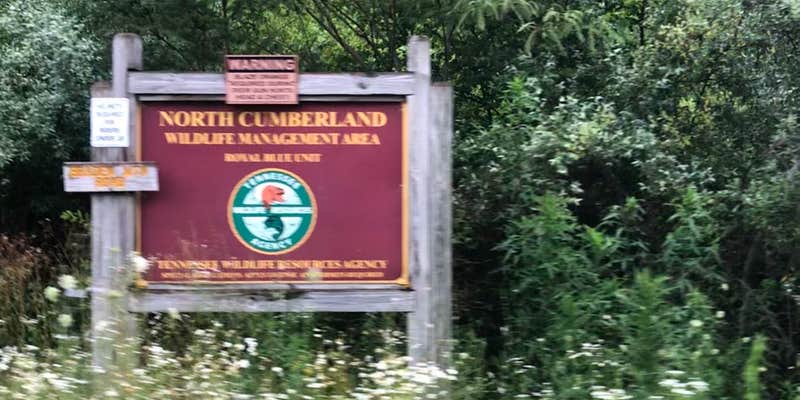 Camper submitted image from North Cumberland WMA- Royal Blue Unit