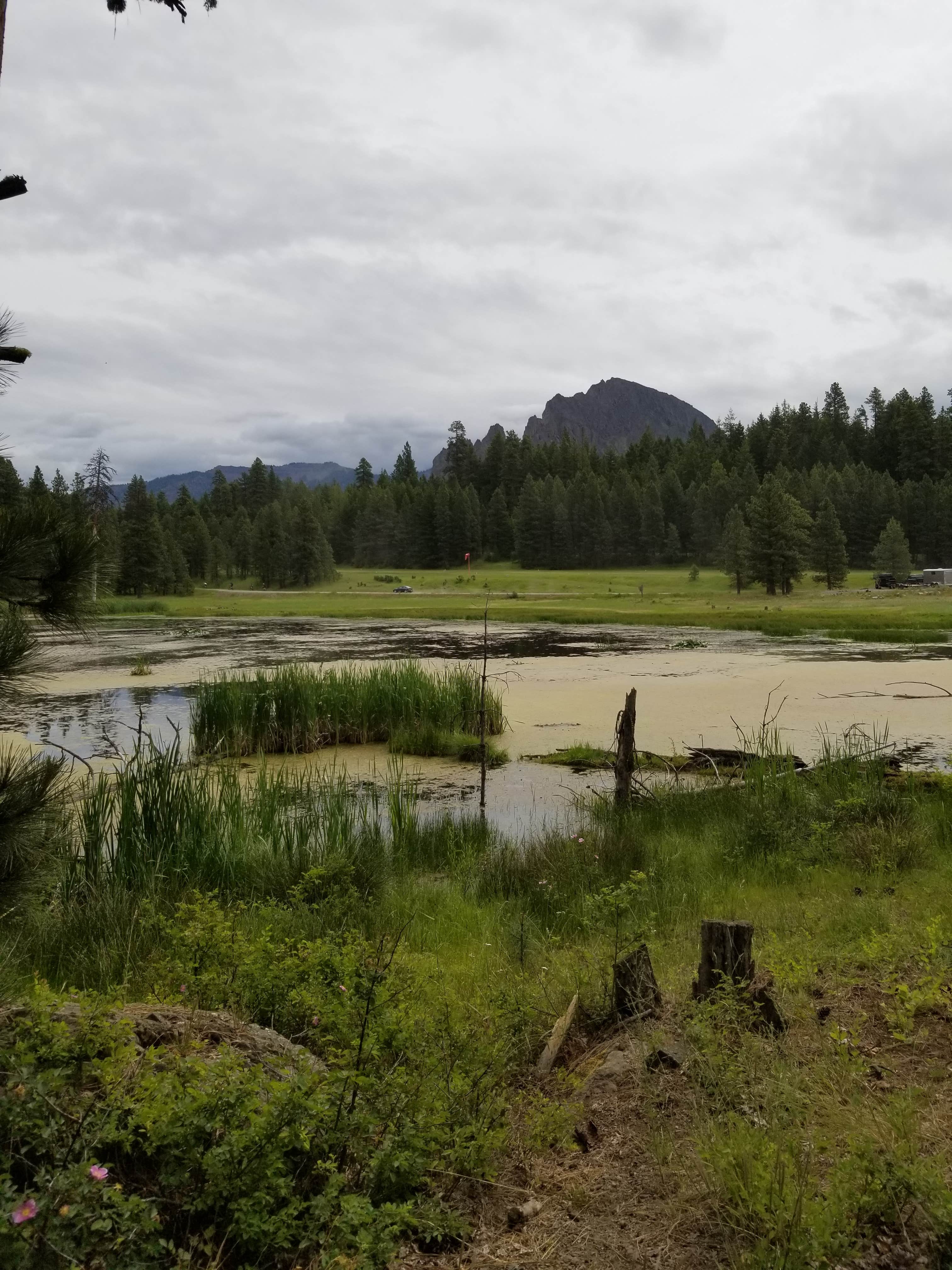 Camper submitted image from Peninsula / Rimrock Boat Launch - 3