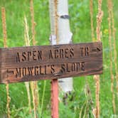 Review photo of Aspen Acres Campground by David Y., June 23, 2020