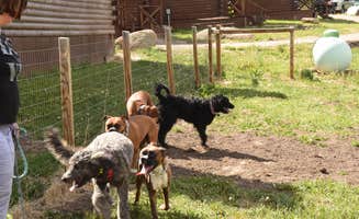 David Y.'s photo of camping with pets at Aspen Acres Campground near Rye, CO