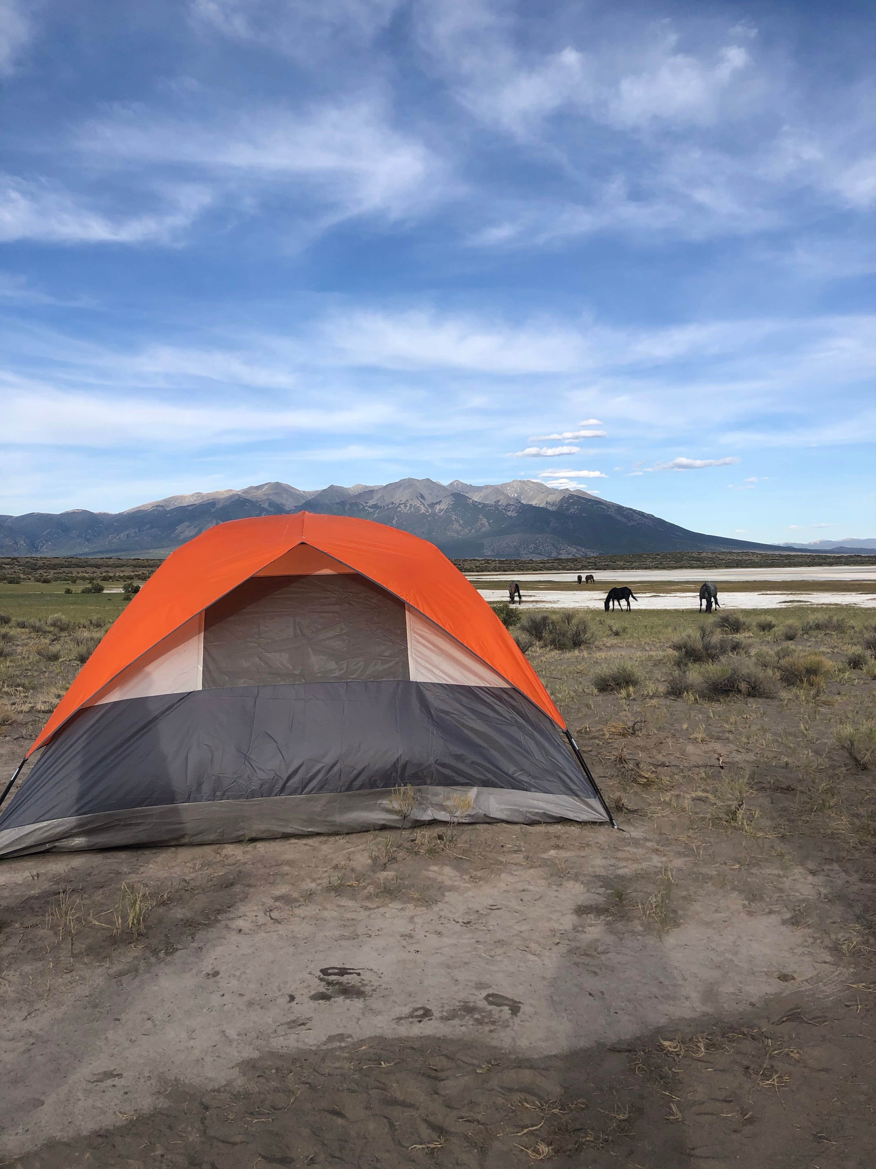 Mikayla M.'s photo at Rabbit Hole Ranch in Colorado