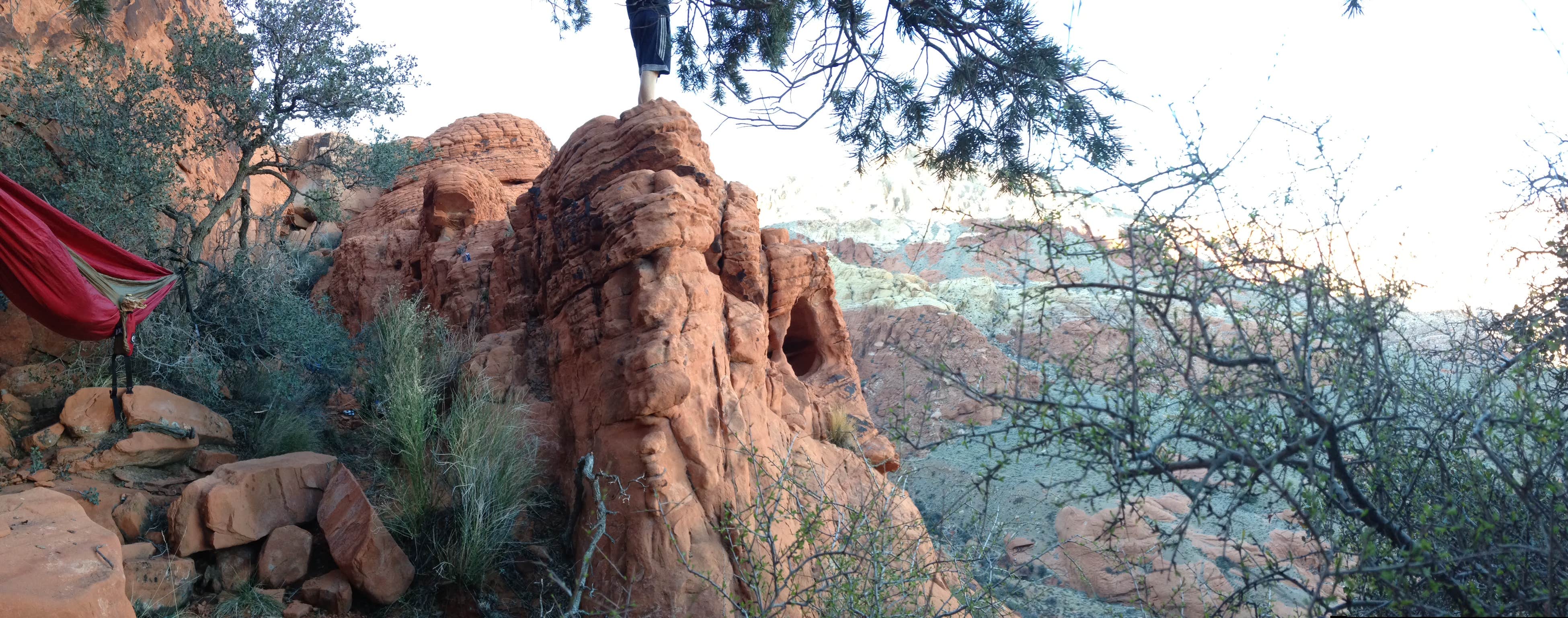 Camper submitted image from Red Rock Canyon National Conservation Area - Red Rock Campground - 2