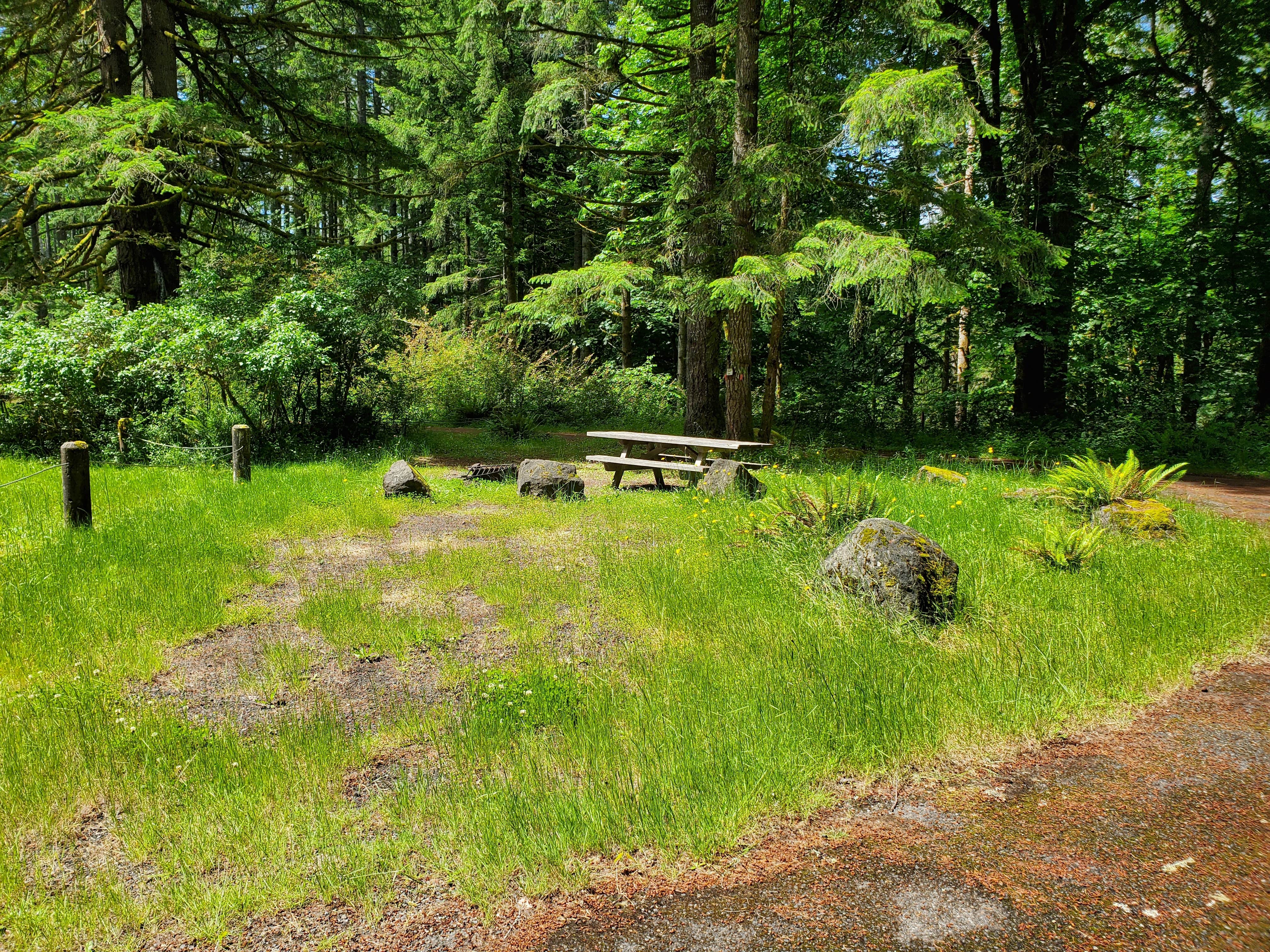 Camper-submitted photo at Margaret McKenny Equestrian Campground near Rochester, WA