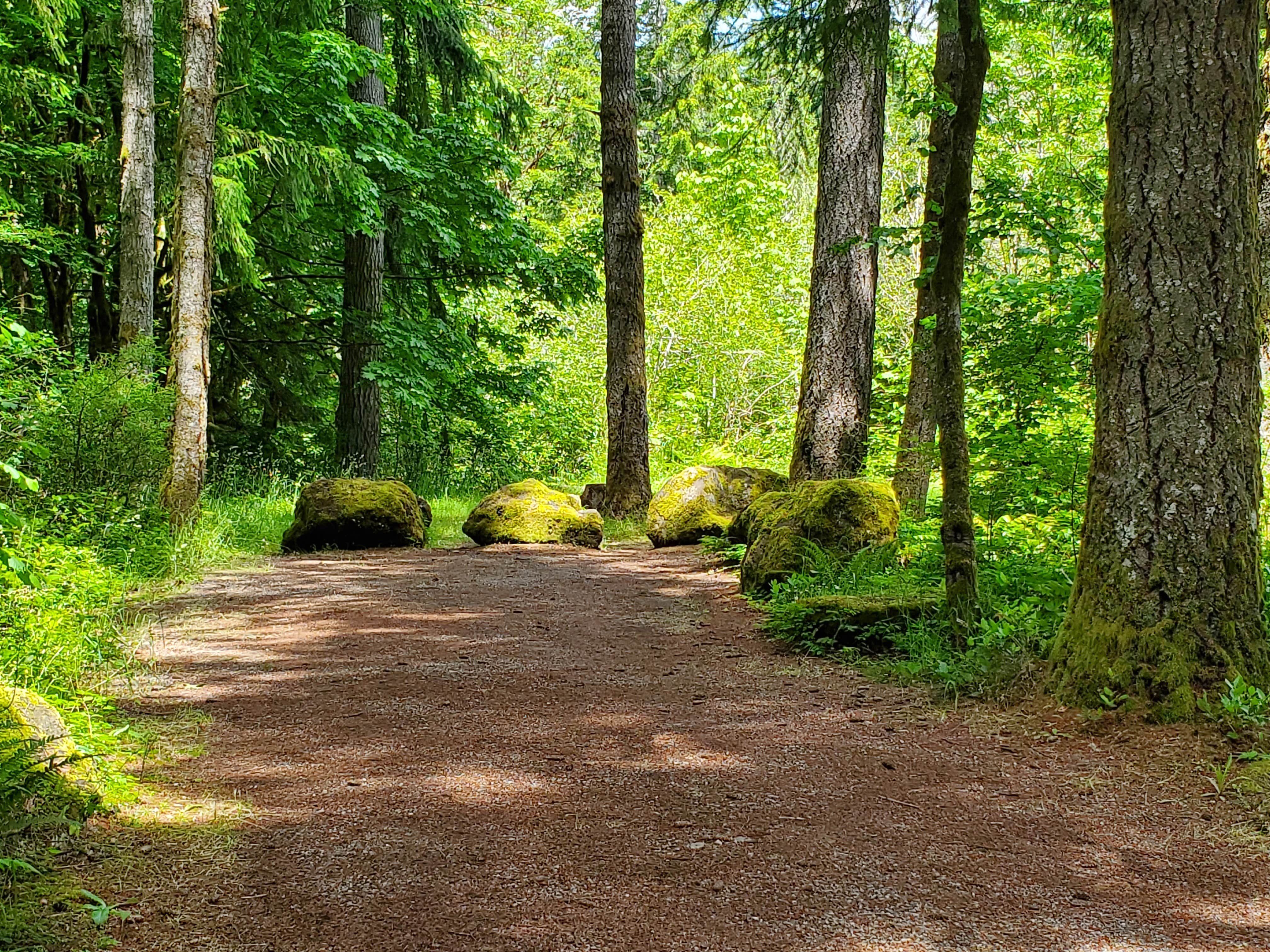 Camper submitted image from Margaret McKenny Equestrian Campground - 3