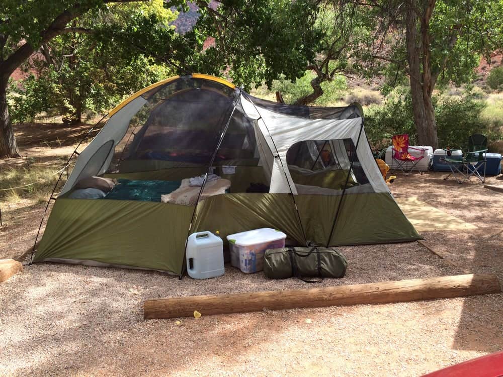 jasmine L.'s photo at Watchman Campground — Zion National Park near Zion National Park