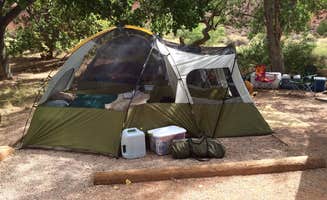 jasmine L.'s photo at Watchman Campground — Zion National Park near Zion National Park