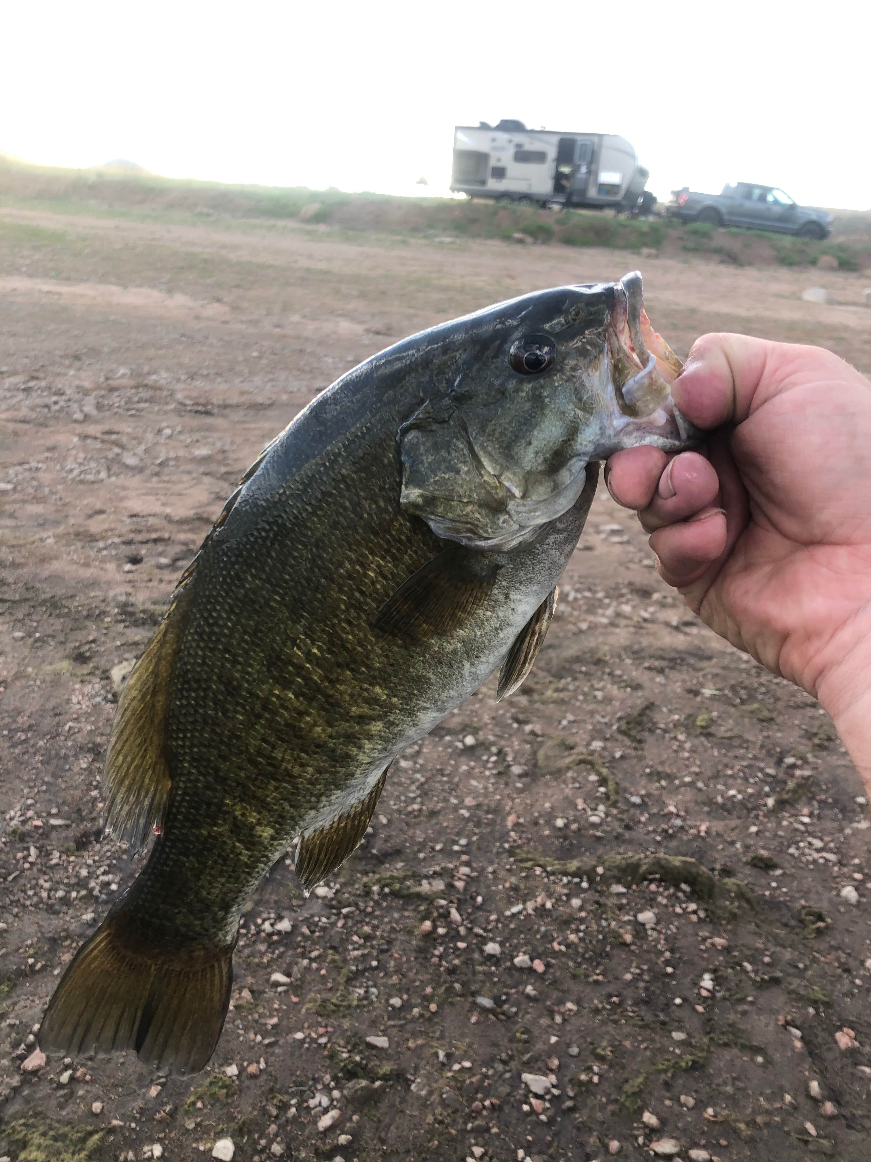 Camper submitted image from Lake Deweese state wildlife area - 5