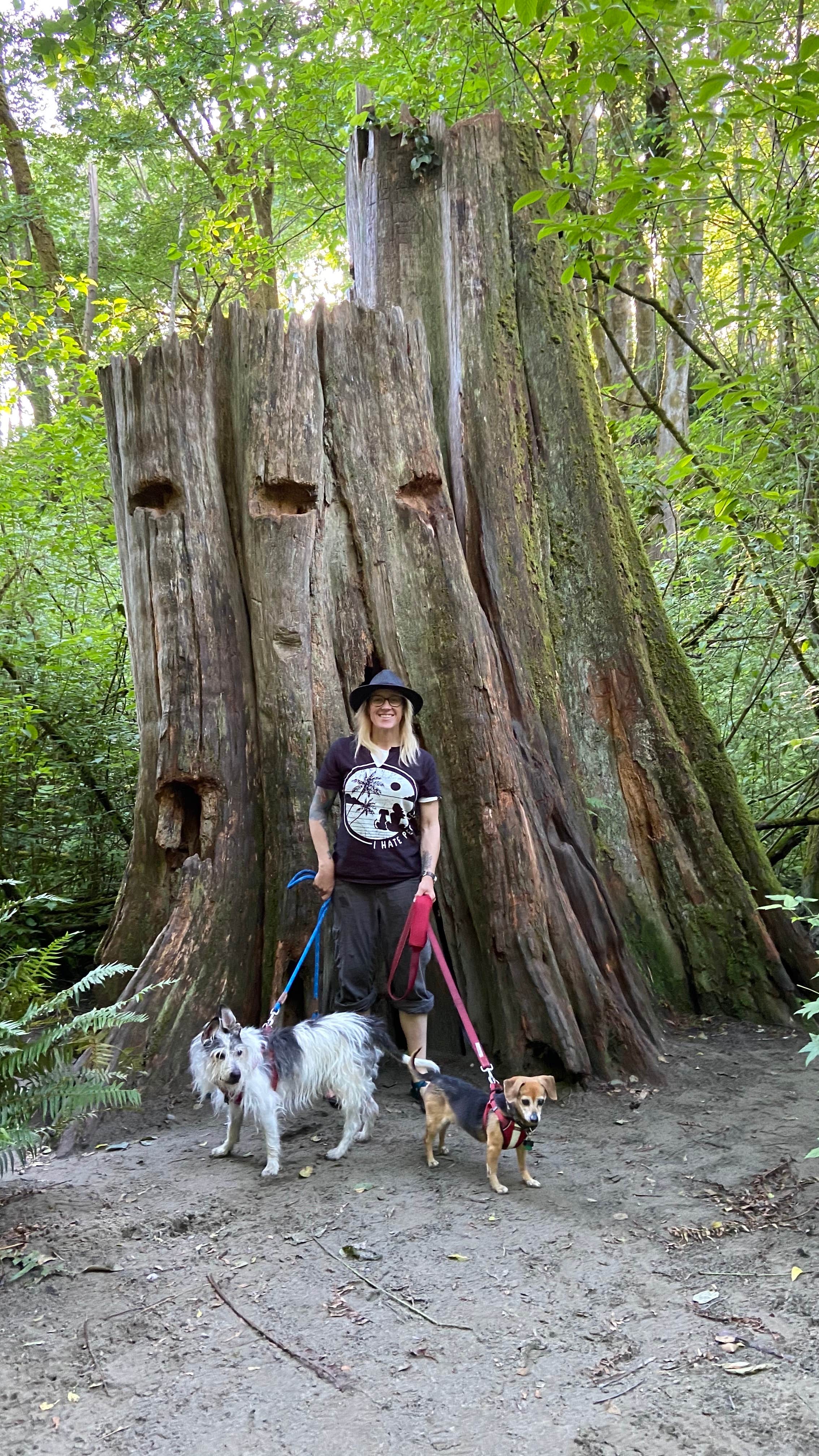 Camper-submitted photo at Dash Point State Park Campground in Washington