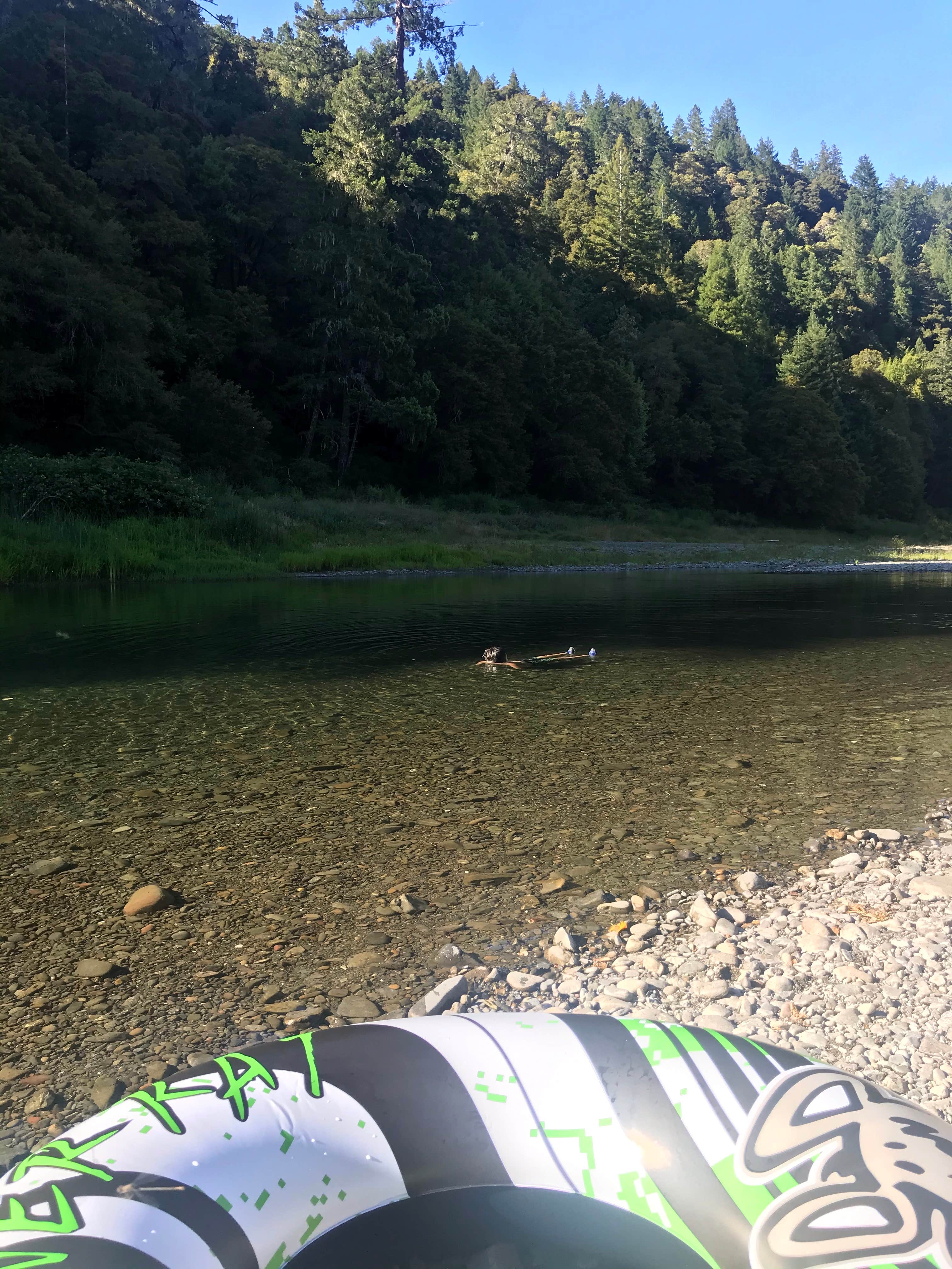 Camper submitted image from Redwoods River Resort & Campground - 4