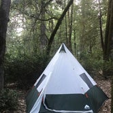 Review photo of Redwoods River Resort & Campground by Laura M., June 23, 2020