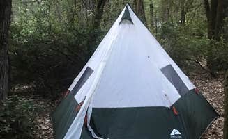 Laura M.'s photo at Redwoods River Resort & Campground near Leggett, CA