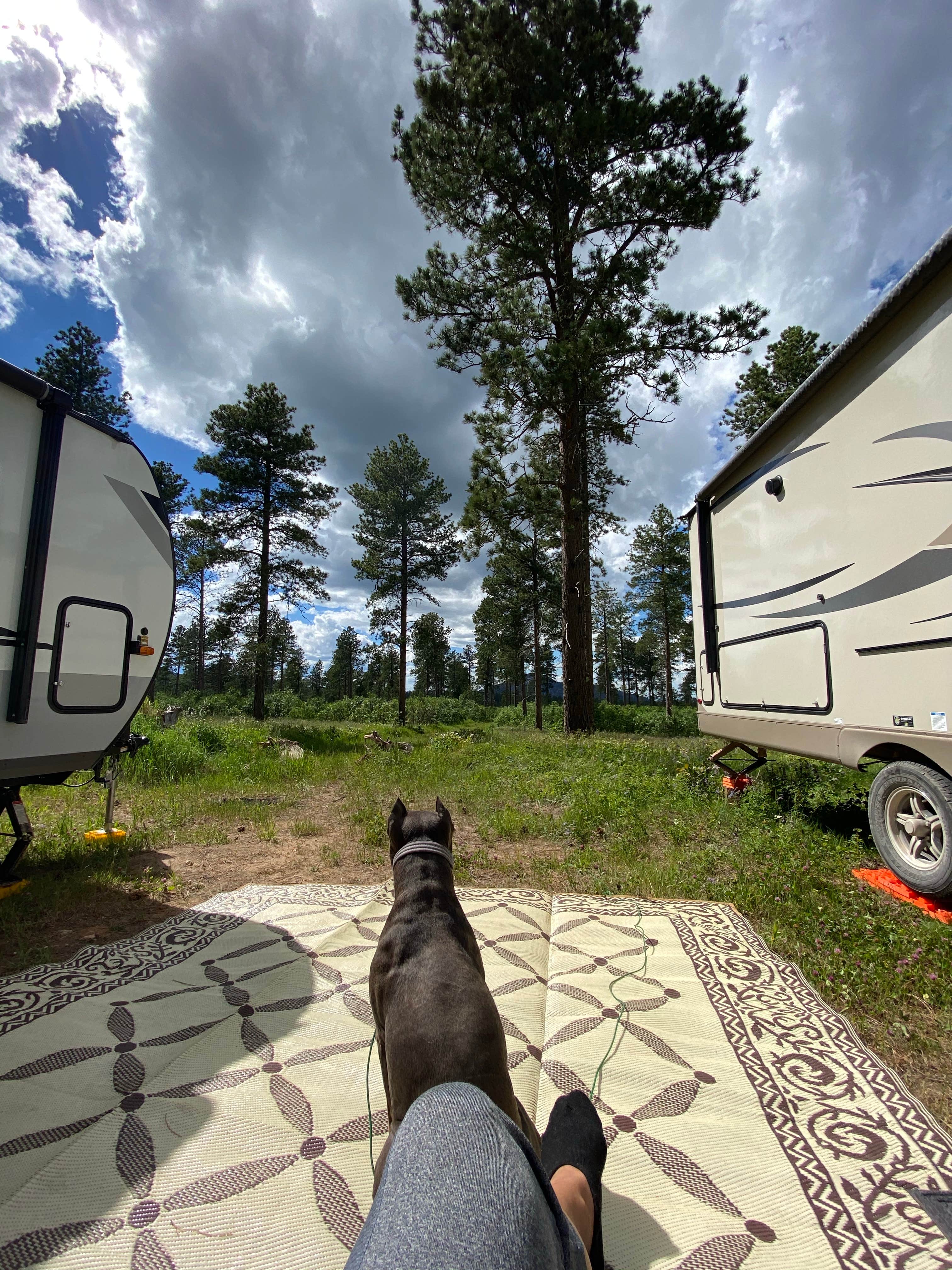 Hannah P.'s photo of rv camping at Free dry camping near Devils Tower National Monument