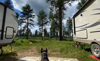 Hannah P.'s photo of rv camping at Free dry camping near Devils Tower National Monument