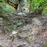 Review photo of Starved Rock Campground — Starved Rock State Park by Brannon M., June 23, 2020