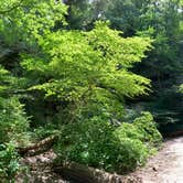 Review photo of Starved Rock Campground — Starved Rock State Park by Brannon M., June 23, 2020