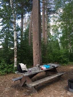 Janet R.'s photo at Remote Campsites (Backpack, Canoe/Boat-In) — Scenic State Park near Bigfork, MN