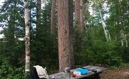 Janet R.'s photo at Remote Campsites (Backpack, Canoe/Boat-In) — Scenic State Park near Bigfork, MN