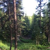 Review photo of Whitefish Bike Retreat by Bjorn S., June 24, 2020