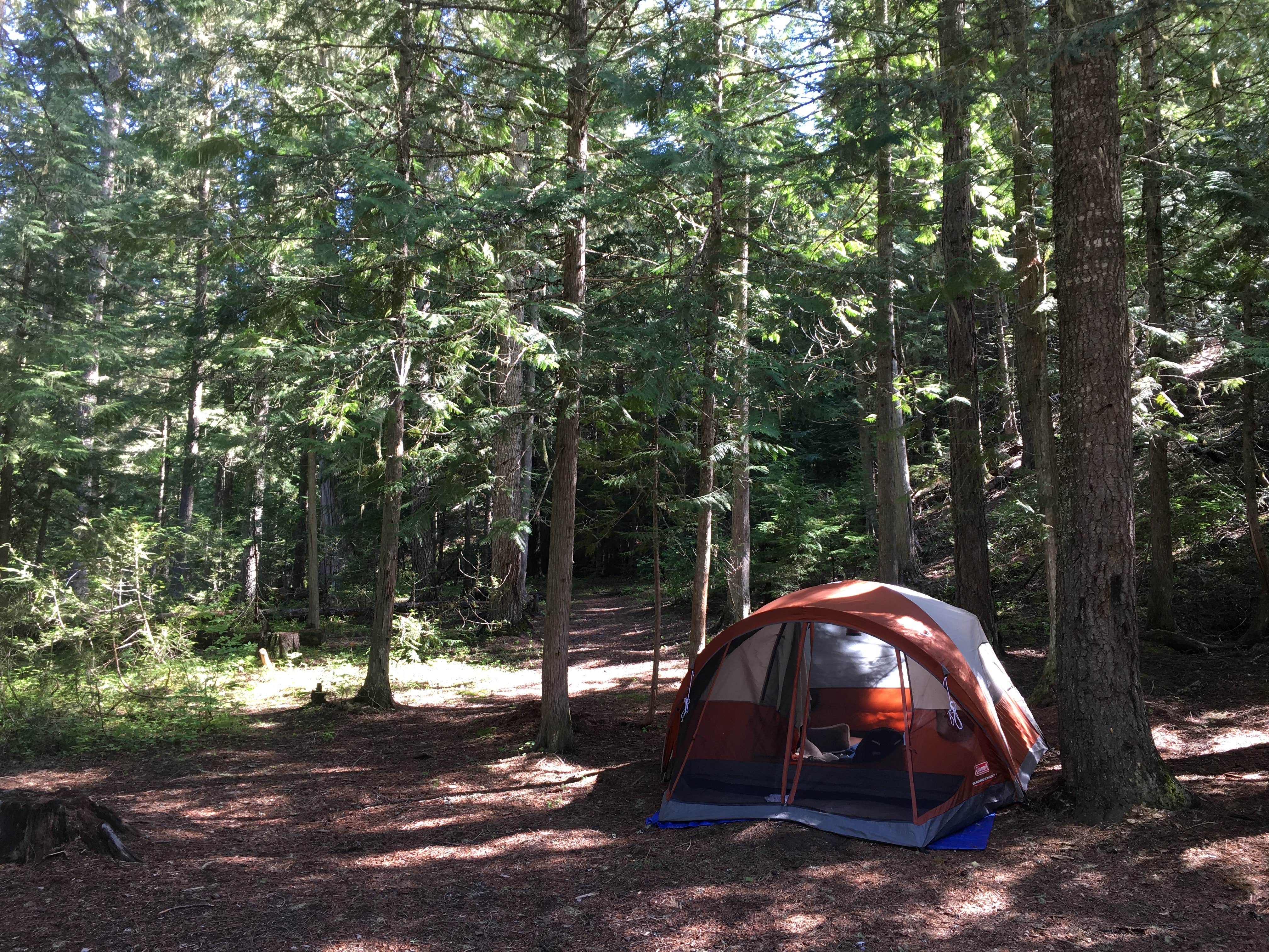 Rachel A.'s photo at Giant White Pine Campground near St. Maries, ID