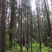 Review photo of Giant White Pine Campground by Rachel A., June 24, 2020