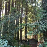 Review photo of Emerald Forest Cabins & RV by Ioan P., June 24, 2020