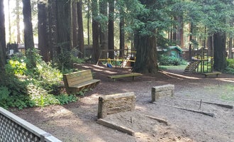 Camping near Agate Campground — Sue-meg State Park: Emerald Forest Cabins & RV, Trinidad, California