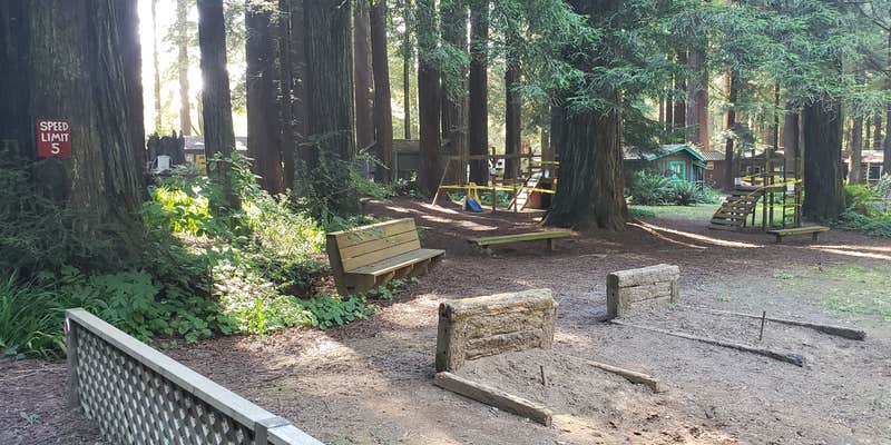 Camper submitted image from Emerald Forest Cabins & RV