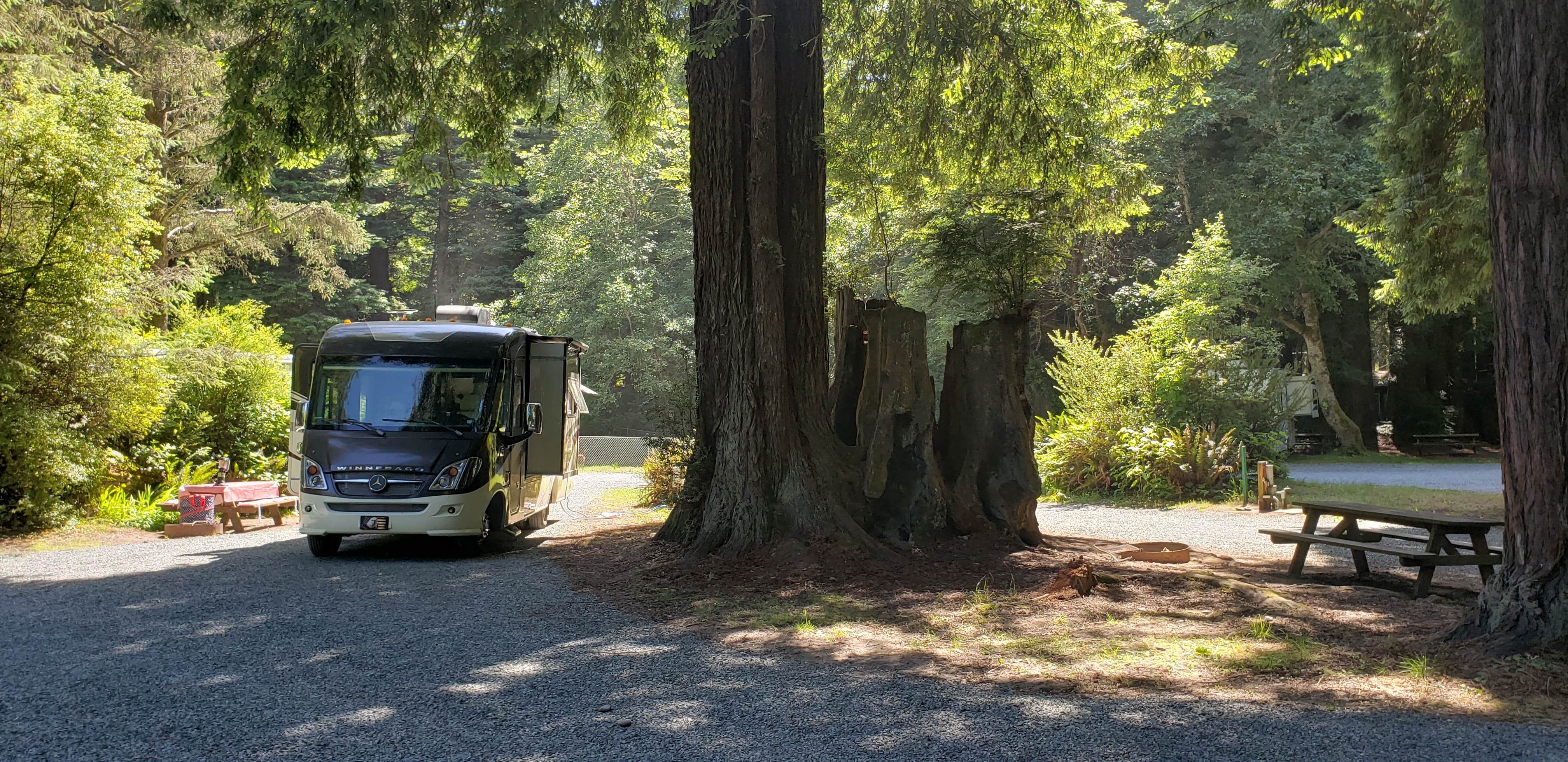 Camper-submitted photo at Emerald Forest Cabins & RV near Blue Lake, CA