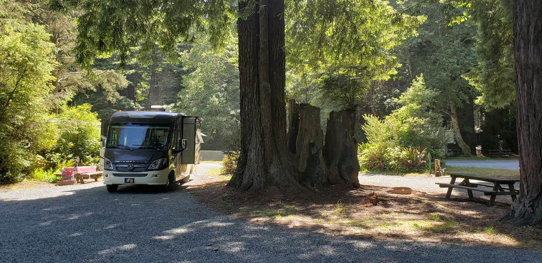 Emerald Forest Cabins & RV Camping The Dyrt