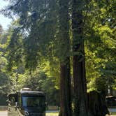 Review photo of Emerald Forest Cabins & RV by Ioan P., June 24, 2020