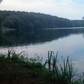 Review photo of Clear Lake City Park by Frances P., June 24, 2020