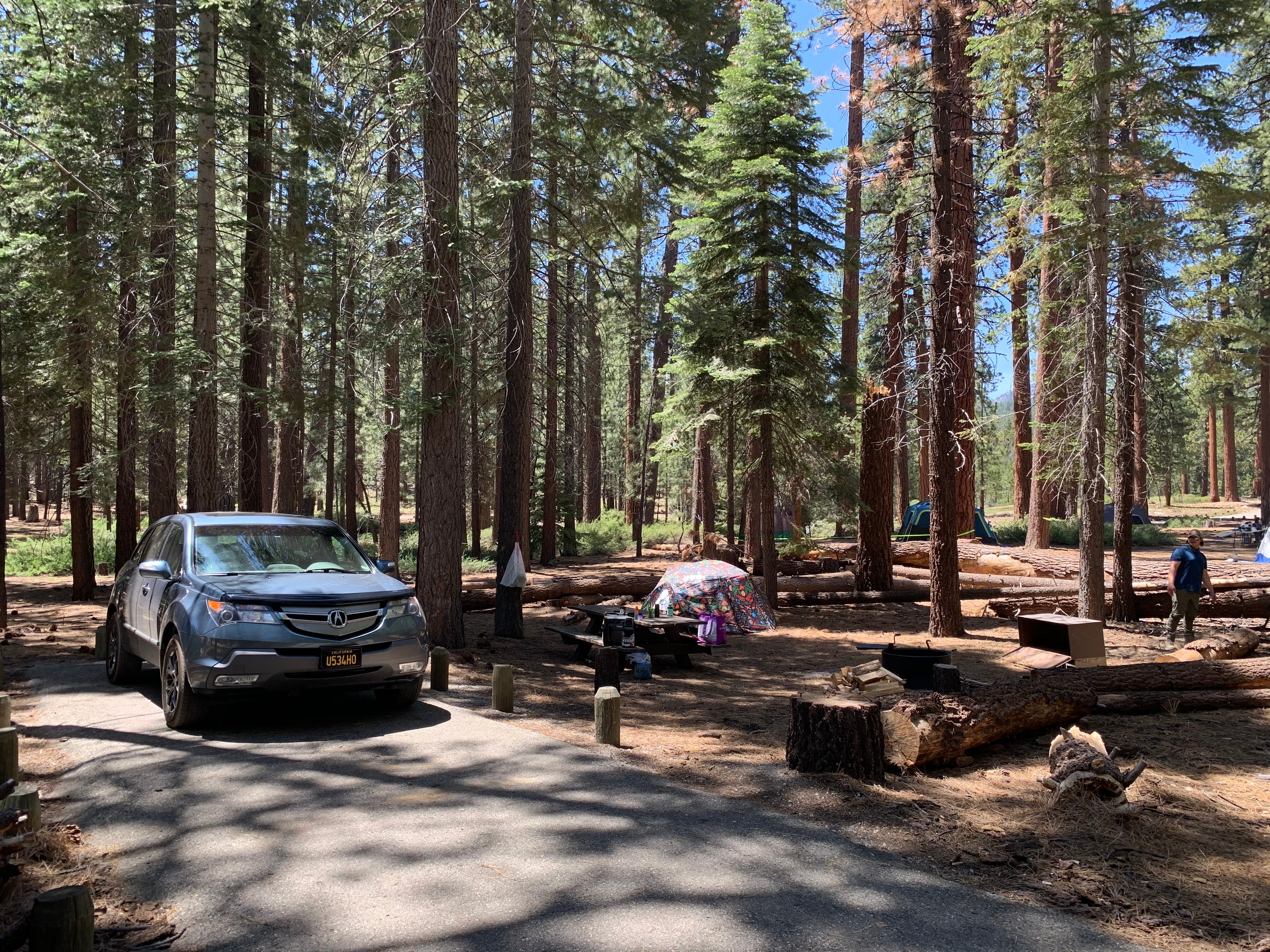 Camper submitted image from Mono Creek - 3