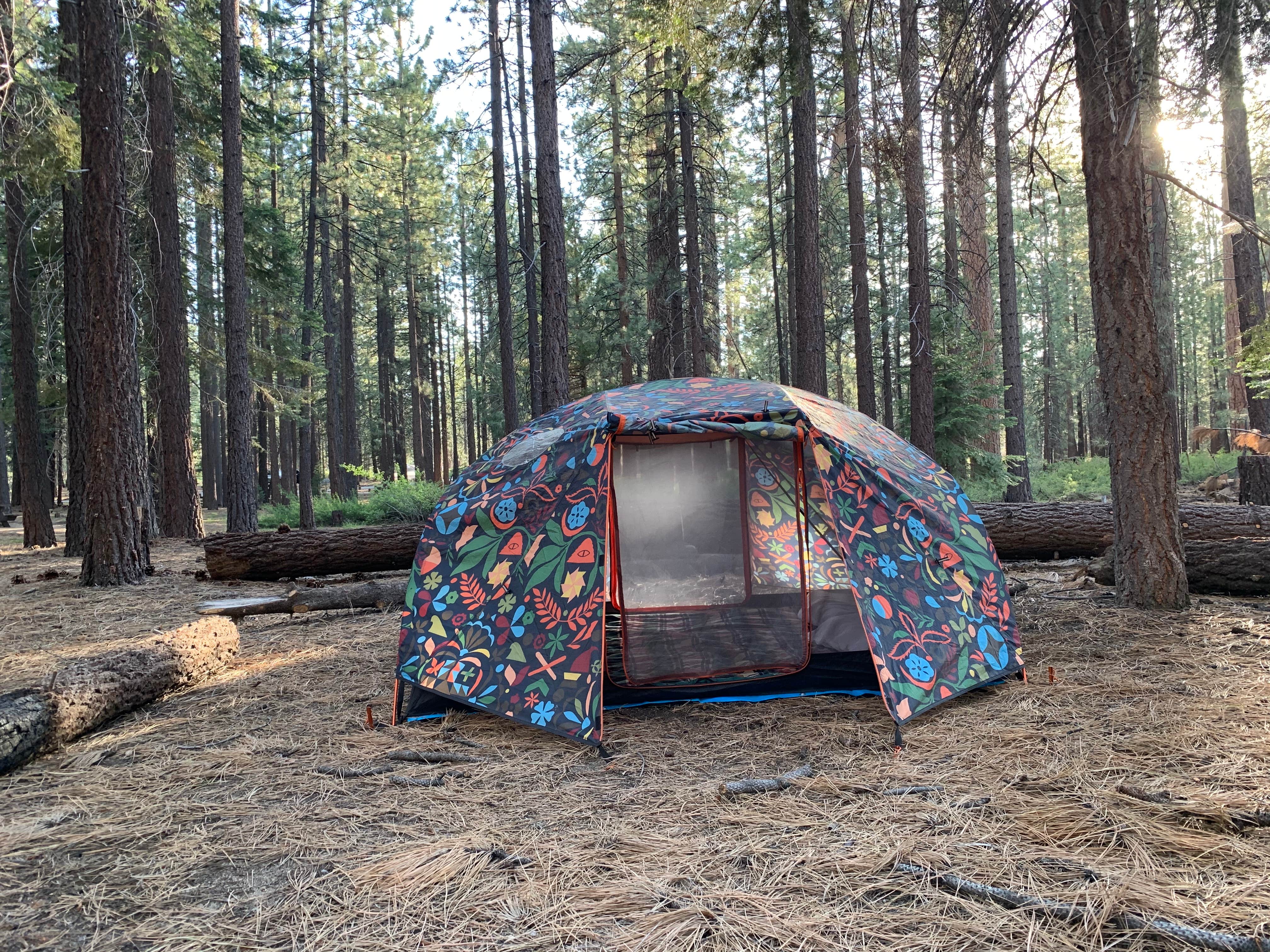 Meesh C.'s photo at Mono Creek near Mono Hot Springs, CA